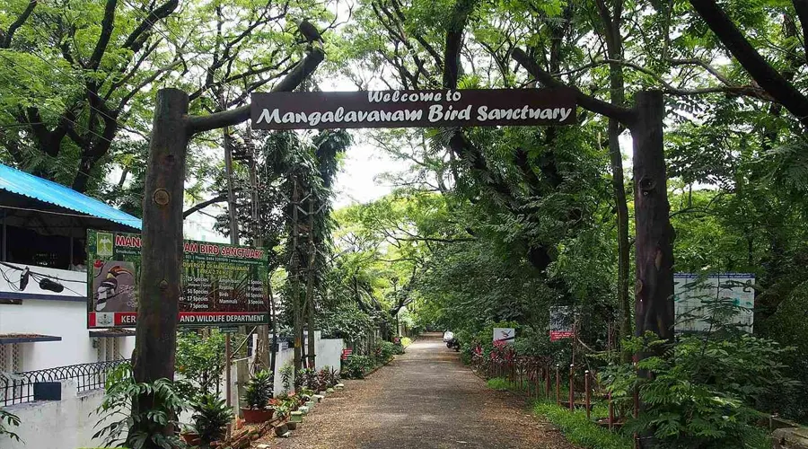 Mangalavanam Bird Sanctuary